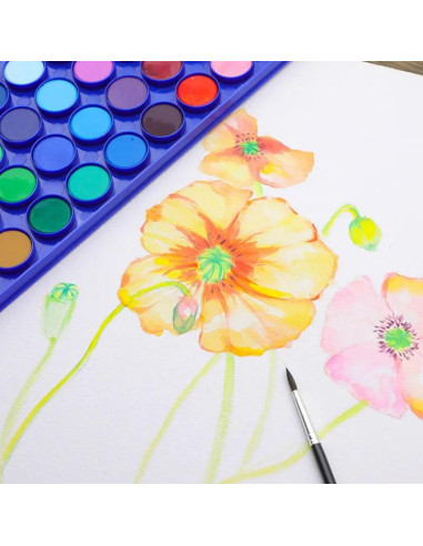Akvarelsæt med 36 farver og 3 pensler